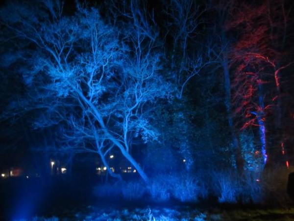 Bild zu ich lasse mal leuchten - Forum und Treffpunkt für Omas