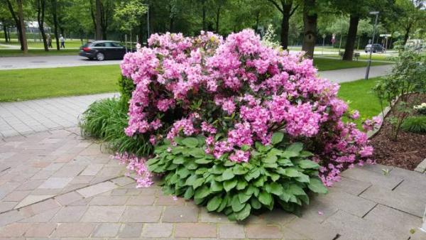 Bild zu @omagina - Forum und Treffpunkt für Omas