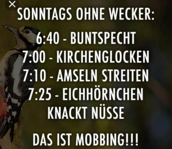 Bild zu Na dann - Forum und Treffpunkt für Omas