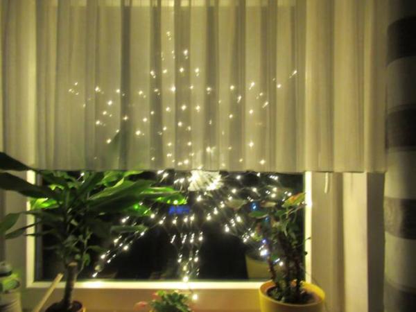 Bild zu Moin - Forum und Treffpunkt für Omas