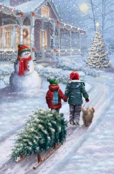Bild zu 3 Advent - Forum und Treffpunkt für Omas