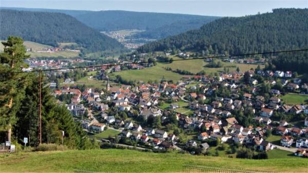 Bild zu 