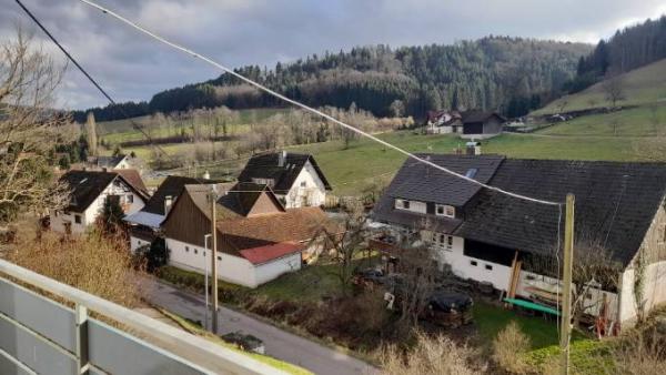 Bild zu 