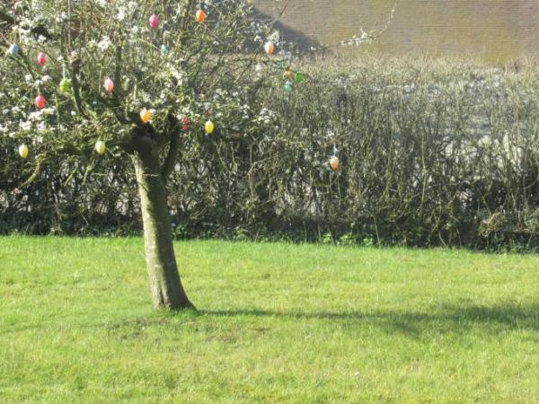 Bild zu 