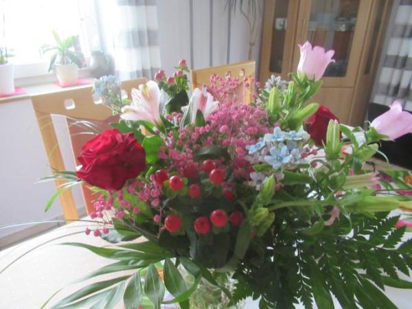 Bild zu 