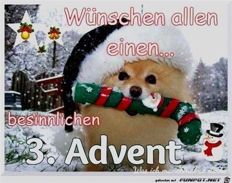 Bild zu 3 Advent - Forum und Treffpunkt für Omas