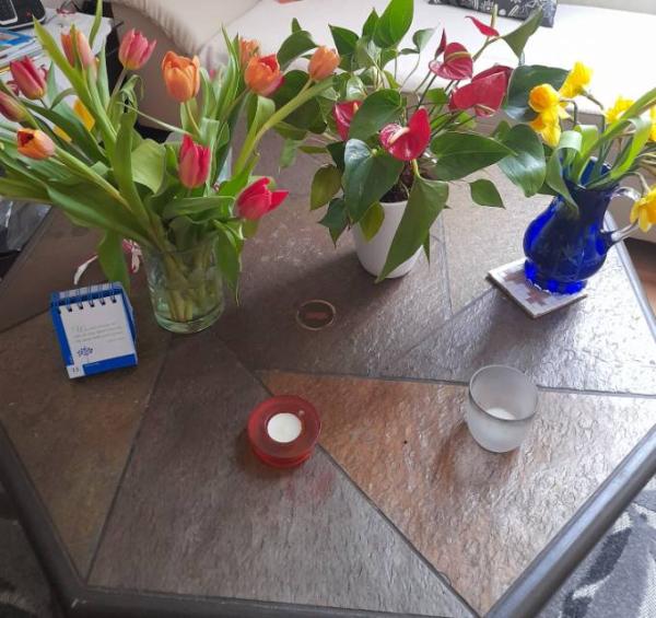 Bild zu 