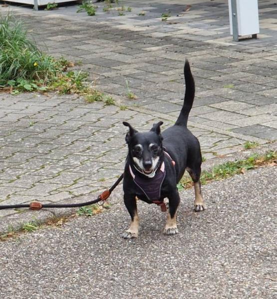 Bild zu 