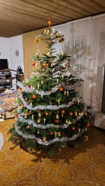 Bild zu