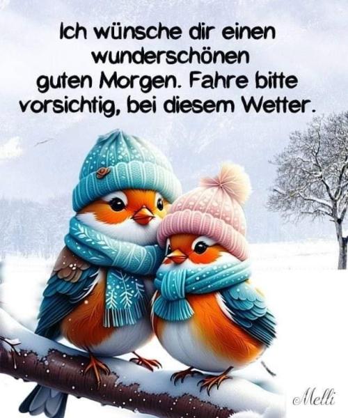Bild zu Einen schönen Tag - Forum und Treffpunkt für Omas