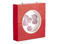 Bild zu Habe hier gaaanz viele Muscheln,jemand eine Idee für Deko - Mein Haushalt