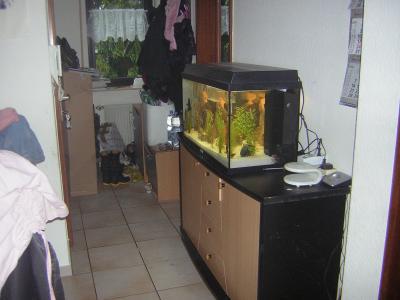 Bild zu Ich weiß auch nicht - Mein Haushalt