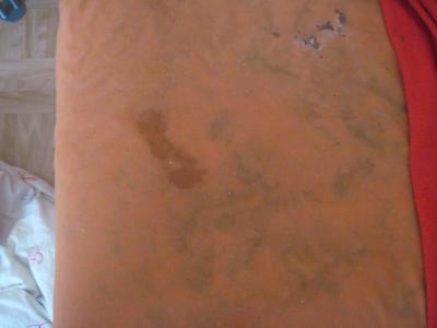 Bild zu wer kennt ein gutes Posterreiniger - Mein Haushalt