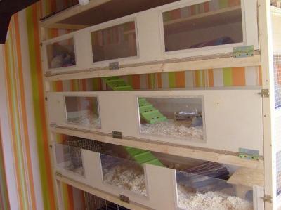 Bild zu Lebensmittelmotten im Heu, Schlupfwespen, jemand mit Erfahrung? - Mein Haushalt