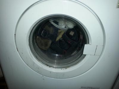 Bild zu Glaub hab Mist gebaut... - Mein Haushalt