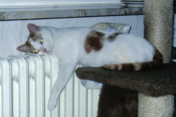 Bild zu Es wird kalt*brhhhhh* - Alleinerziehend - Forum für alleinerziehende Eltern