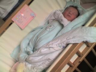 Bild zu weihnachten nicht mehr allein !! - Alleinerziehend - Forum für alleinerziehende Eltern