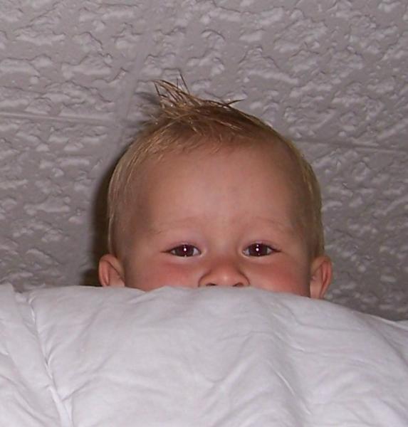 Bild zu Ferien etc. mit mehrern AE's zusammen? - Alleinerziehend - Forum für alleinerziehende Eltern