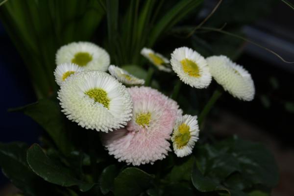 Bild zu Ich freu mich sooooo - Alleinerziehend - Forum für alleinerziehende Eltern