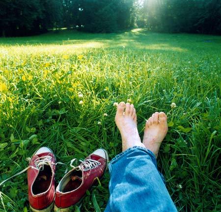 Bild zu Einen schönen Sonntag - Alleinerziehend - Forum für alleinerziehende Eltern