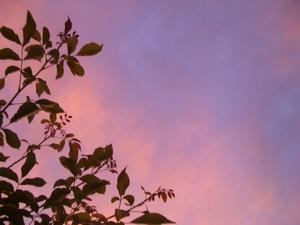 Bild zu Wir haben einen neuen Fernseher... - Alleinerziehend - Forum für alleinerziehende Eltern