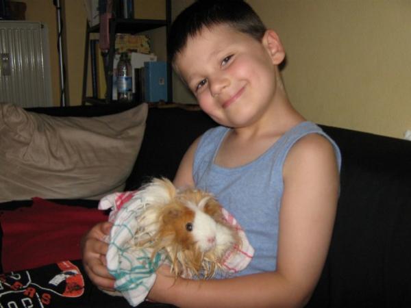 Bild zu Test! - Alleinerziehend - Forum für alleinerziehende Eltern