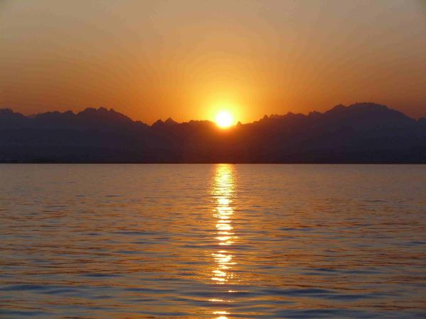 Bild zu Wir sind wieder im Lande... - Alleinerziehend - Forum für alleinerziehende Eltern