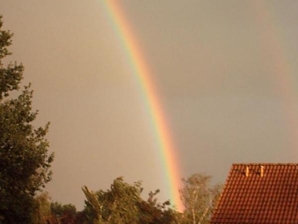 Bild zu Mein Kind machte Fotos - Alleinerziehend - Forum für alleinerziehende Eltern