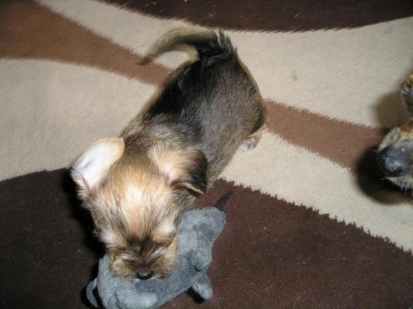 Bild zu Habe gerade eine interessante Anzeige gefunden....was zum lachen - Alleinerziehend - Forum für alleinerziehende Eltern