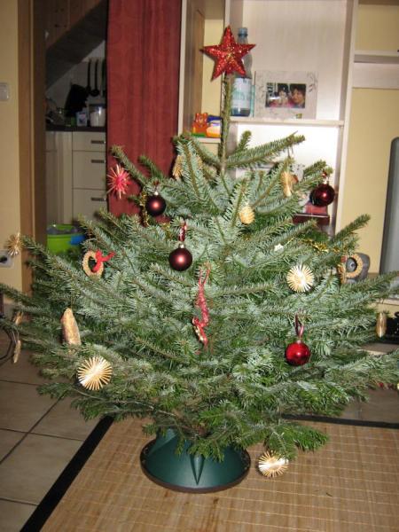 Bild zu Wer will meinen Baum sehen? - Alleinerziehend - Forum für alleinerziehende Eltern