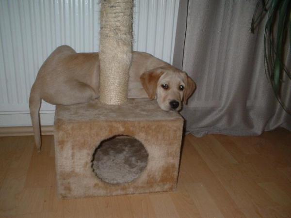 Bild zu irgendwas hab ich falsch gemacht :o) - Alleinerziehend - Forum für alleinerziehende Eltern