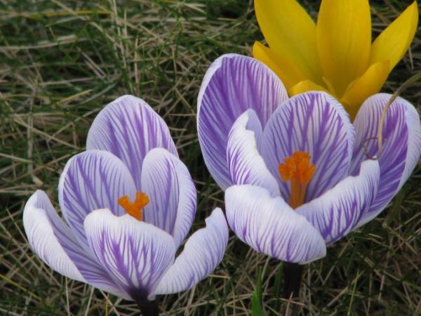 Bild zu PLOPP.... - Alleinerziehend - Forum für alleinerziehende Eltern