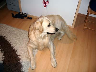 Bild zu Heute ist ein Mann bei mir eingezogen... - Alleinerziehend - Forum für alleinerziehende Eltern