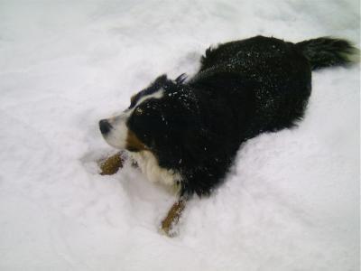 Bild zu Daumen drücken ! - Alleinerziehend - Forum für alleinerziehende Eltern