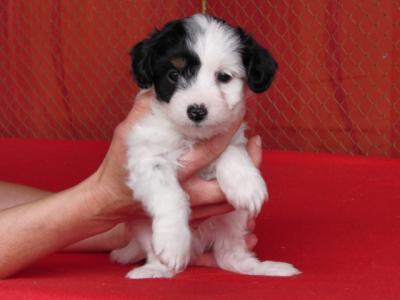 Bild zu Kann mich nicht entscheiden, wen ich behalte...Foto anbei... - Alleinerziehend - Forum für alleinerziehende Eltern