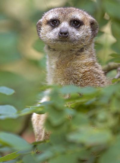 Bild zu LETZTER AUFRUF FORUMSTREFFEN - Alleinerziehend - Forum für alleinerziehende Eltern