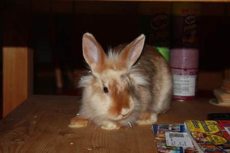 Bild zu 