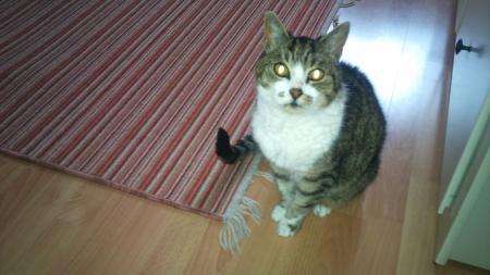 Bild zu 
