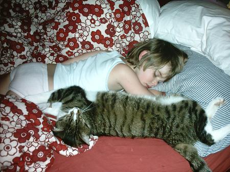Bild zu