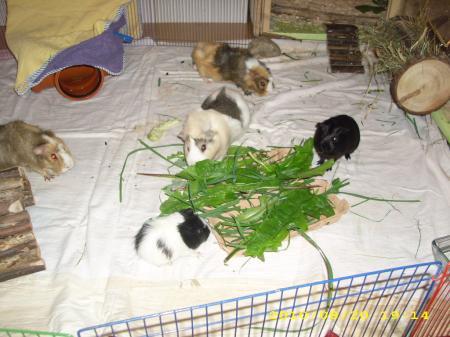 Bild zu