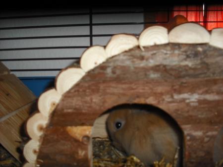 Bild zu 