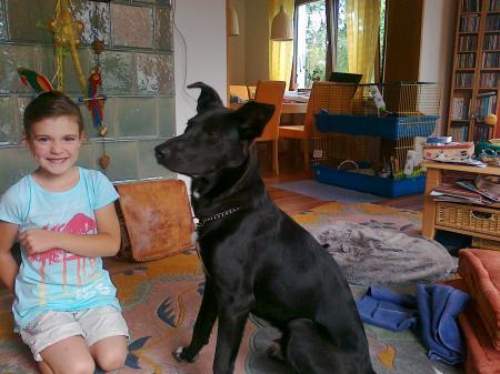 Bild zu