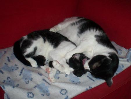 Bild zu