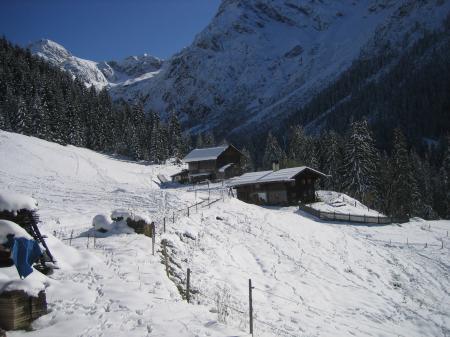 Bild zu
