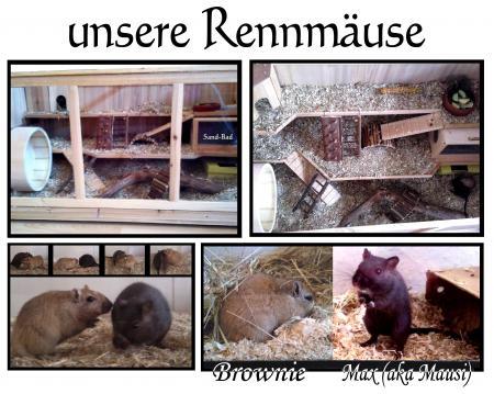 Bild zu 