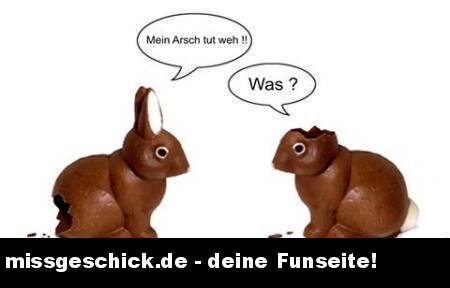 Bild zu Frohe Ostern !!! - Partnerschaft - Forum