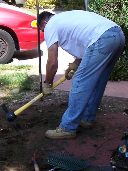 Bild zu Das ist Liebe - Partnerschaft - Forum