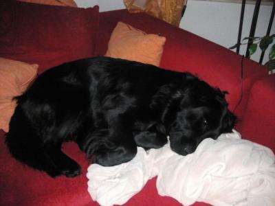 Bild zu Also Probleme.... - Partnerschaft - Forum