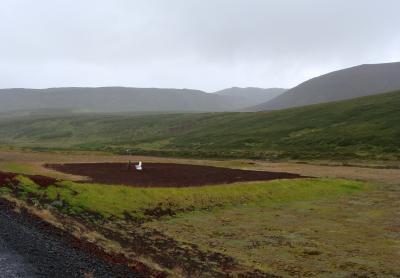 Bild zu Nachtrag - Island-Bilder - Partnerschaft - Forum