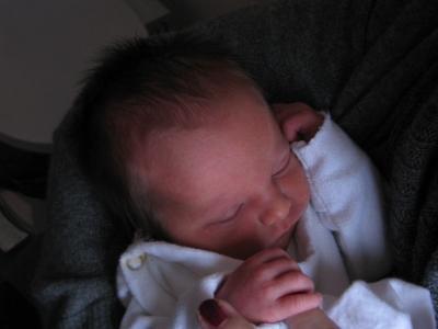 Bild zu I proudly to present ... - Partnerschaft - Forum